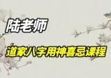 陆老师 道家八字21集