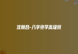 沈朝合-八字绝学高级班课程视频21集
