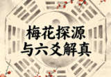 梅花探源与六爻解真(精华版)h.pdf