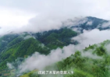 [认识身边的中草药]乡间无杂草，认识全是宝!每天一味中草药，成就中医大梦想!