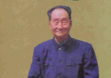 《王力平视频音频课程合集全套》（视频+音频+资料）