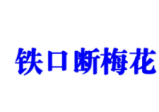 易海游龙铁口断梅花课堂笔记.pdf477页