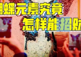 蝴蝶壁纸占领朋友圈，潮流符号成“催命符”？