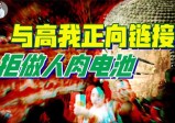 为活命层层骗，国级文旅推手布下“转频局”