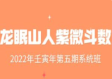 2022年 壬宝年 龙眠山人紫微斗数 第五期系统班