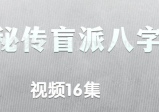 秘传盲派八字视频16集