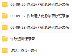 09年九月许跃远济南脉诊研修班录像  第2张