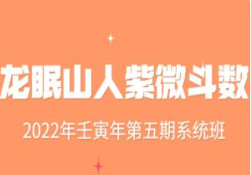 2022年 壬宝年 龙眠山人紫微斗数 第五期系统班  第1张