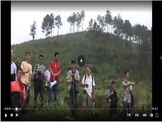 明师苑现场寻龙点穴视频46集 第1张 明师苑现场寻龙点穴视频46集 第1张