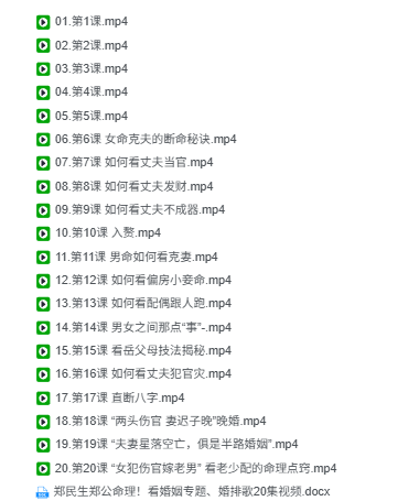 郑民生郑公命理!看婚姻专题、婚排歌20集视频  第2张