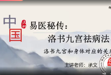 承文老师易医秘传:洛书九宫祛病法二期  第1张