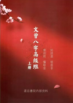 文曾八字高级班上下册  第2张