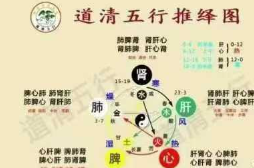 道清五行推拿16集视频  第1张