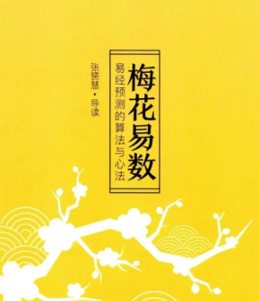 张赟慧·梅花易数导读  第1张