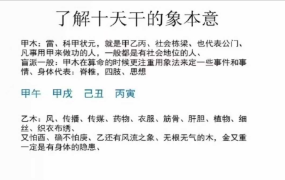 崔文举盲派八字六期  第1张