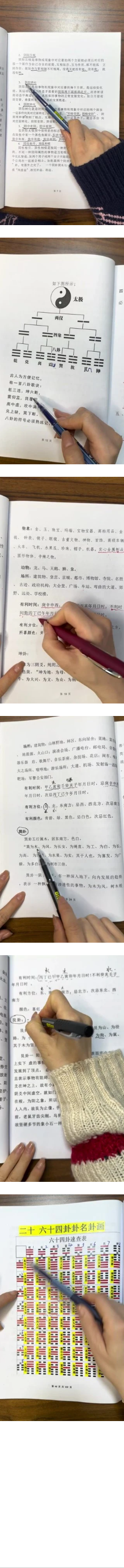 隽宁老师《梅花视频课程》89集  第2张