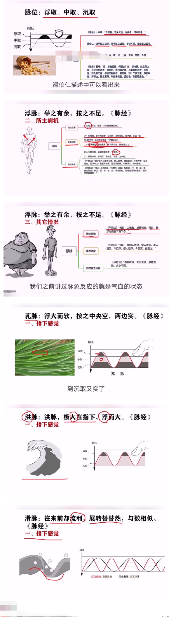 古训堂陈雷伤寒脉法讲解 第2张 古训堂陈雷伤寒脉法讲解 第2张