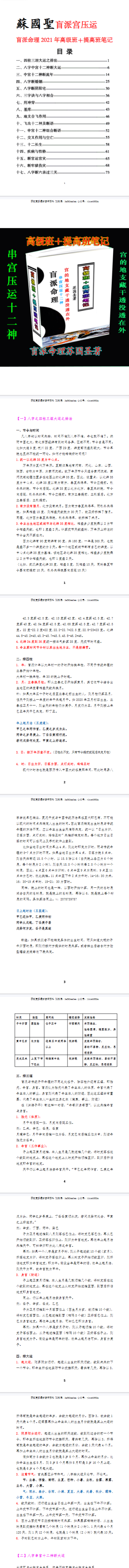 苏国圣-盲派宫压运《盲派命理2021年高级班+提高班笔记》.pdf.  第2张