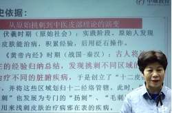 《刘惠珍伏羲古源飞穴线上课1》视频21集 第1张 《刘惠珍伏羲古源飞穴线上课1》视频21集 第1张